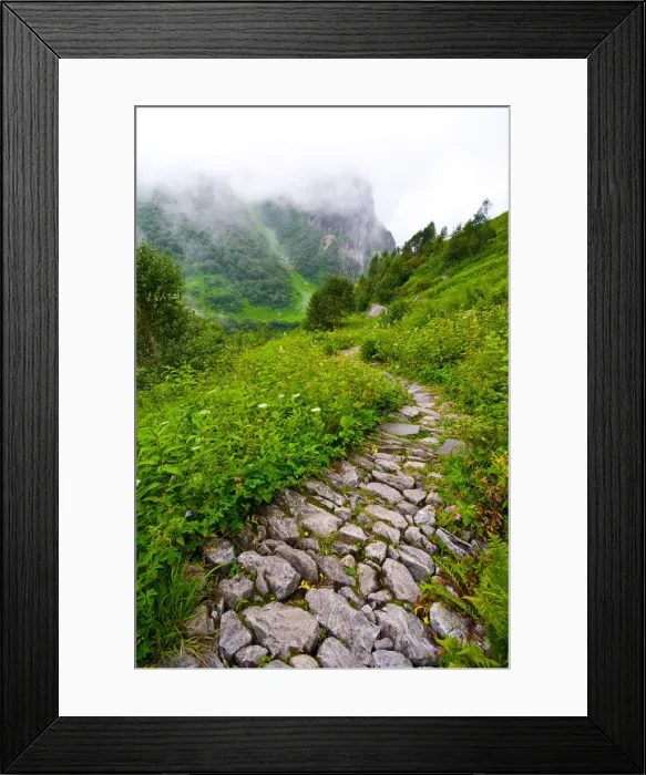 Framed Print : The winding path at the Valley of Flowers Framed Print : The winding path at the Valley of Flowers