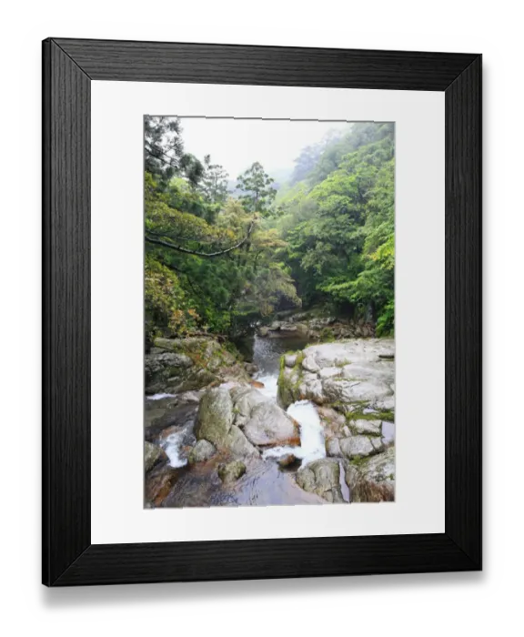 Framed Print : Stream in cedar forest on Yakushima Island Framed Print : Stream in cedar forest on Yakushima Island