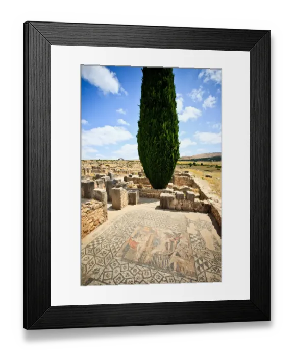 Framed Print : Roman ruins Volubilis Framed Print : Roman ruins Volubilis