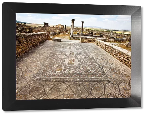 Roman mosaics at Volubilis
