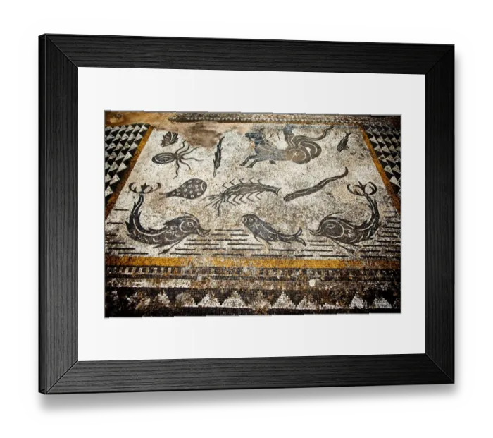 Framed Print : Roman mosaics at Volubilis Framed Print : Roman mosaics at Volubilis