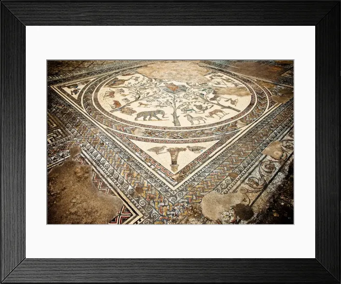 Framed Print : Roman ruins Volubilis