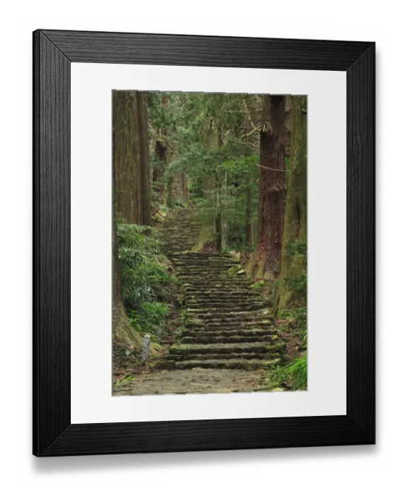 Framed Print : Japan, Wakayama, Kumano Kodo, Daimonzaka Slope, Stepped walkway in forest Framed Print : Japan, Wakayama, Kumano Kodo, Daimonzaka Slope, Stepped walkway in forest