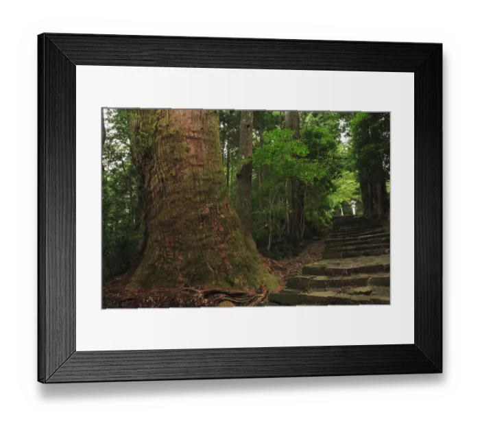 Framed Print : Japan, Wakayama, Kumano Kodo, Daimonzaka Slope, Stepped walkway in forest Framed Print : Japan, Wakayama, Kumano Kodo, Daimonzaka Slope, Stepped walkway in forest