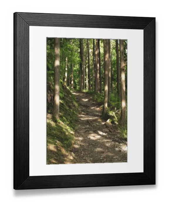 Framed Print : Japan, Wakayama Prefecture, Kumano Kodo, Footpath passing through forest Framed Print : Japan, Wakayama Prefecture, Kumano Kodo, Footpath passing through forest