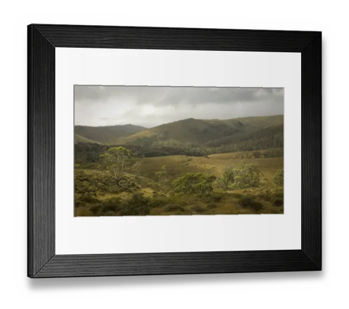 Framed Print : Cradle Mountain NP, Eucalyptus trees on hills Framed Print : Cradle Mountain NP, Eucalyptus trees on hills