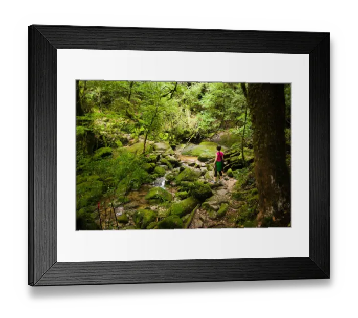 Framed Print : River stream in Unesco heritage rainforest, Japan