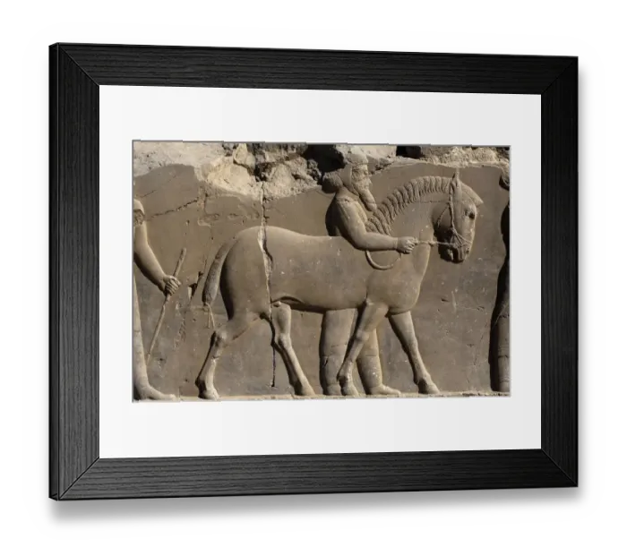 Framed Print : Bas-relief in Persepolis, Iran Framed Print : Bas-relief in Persepolis, Iran