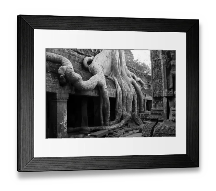Framed Print : Arbor Day. Banyan tree growing over the ruins of Ta Prohm in Angkor Wat Framed Print : Arbor Day. Banyan tree growing over the ruins of Ta Prohm in Angkor Wat