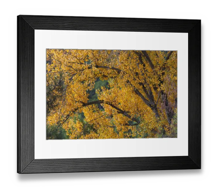 Framed Print : Autumn colours in cazorla natural park; segura y las villas jaen province andalusia spain Framed Print : Autumn colours in cazorla natural park; segura y las villas jaen province andalusia spain