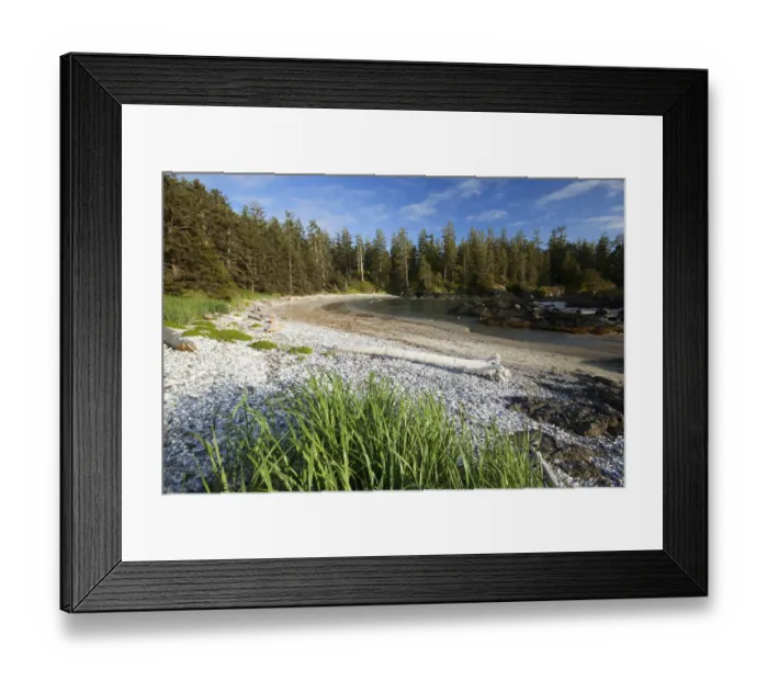 Framed Print : The Coastline Between Wickaninnish Beach And South Beach In Pacific Rim National Park Near Tofino; British Columbia Canada Framed Print : The Coastline Between Wickaninnish Beach And South Beach In Pacific Rim National Park Near Tofino; British Columbia Canada