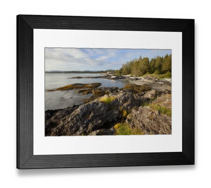 Framed Print : The Coastline Between Wickaninnish Beach And South Beach In Pacific Rim National Park Near Tofino; British Columbia Canada