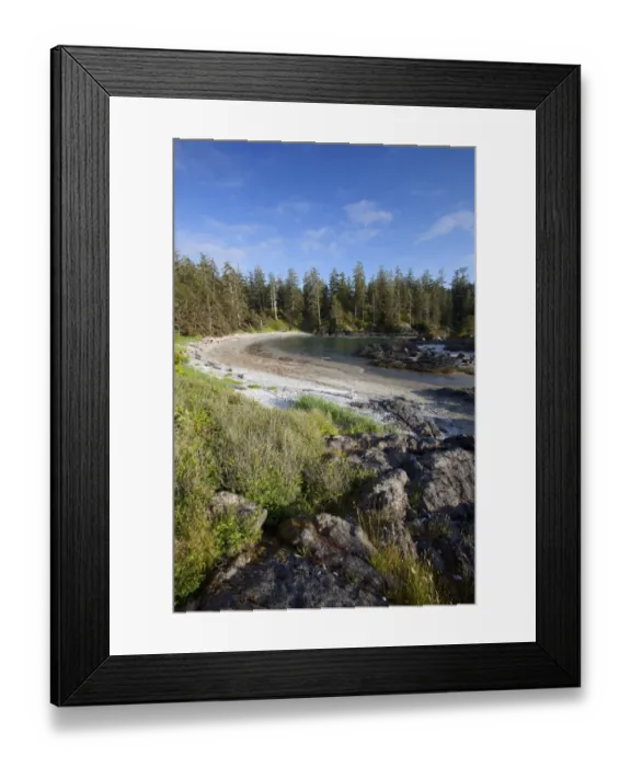 Framed Print : The Coastline Between Wickaninnish Beach And South Beach In Pacific Rim National Park Near Tofino; British Columbia Canada Framed Print : The Coastline Between Wickaninnish Beach And South Beach In Pacific Rim National Park Near Tofino; British Columbia Canada