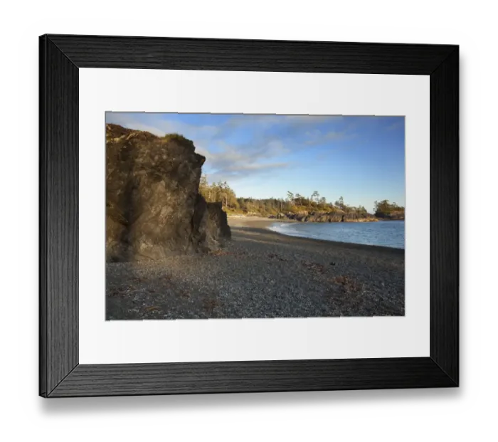 Framed Print : South Beach In Pacific Rim National Park Near Tofino; British Columbia Canada Framed Print : South Beach In Pacific Rim National Park Near Tofino; British Columbia Canada