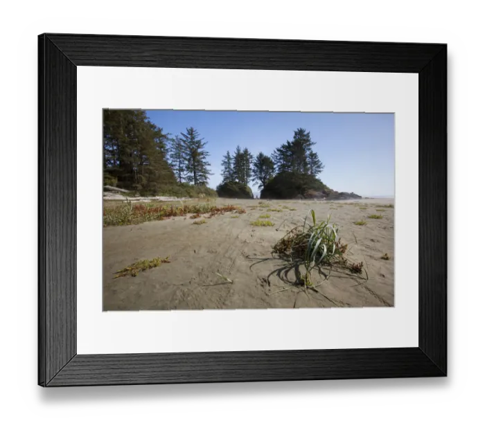 Framed Print : Long Beach In Pacific Rim National Park Near Tofino; British Columbia Canada Framed Print : Long Beach In Pacific Rim National Park Near Tofino; British Columbia Canada
