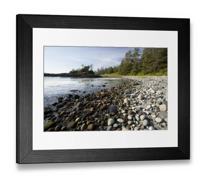 Framed Print : South Beach In Pacific Rim National Park Near Tofino; British Columbia Canada Framed Print : South Beach In Pacific Rim National Park Near Tofino; British Columbia Canada