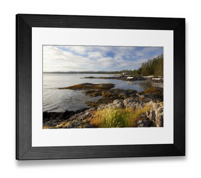 Framed Print : The Coastline Between Wickaninnish Beach And South Beach In Pacific Rim National Park Near Tofino; British Columbia Canada Framed Print : The Coastline Between Wickaninnish Beach And South Beach In Pacific Rim National Park Near Tofino; British Columbia Canada