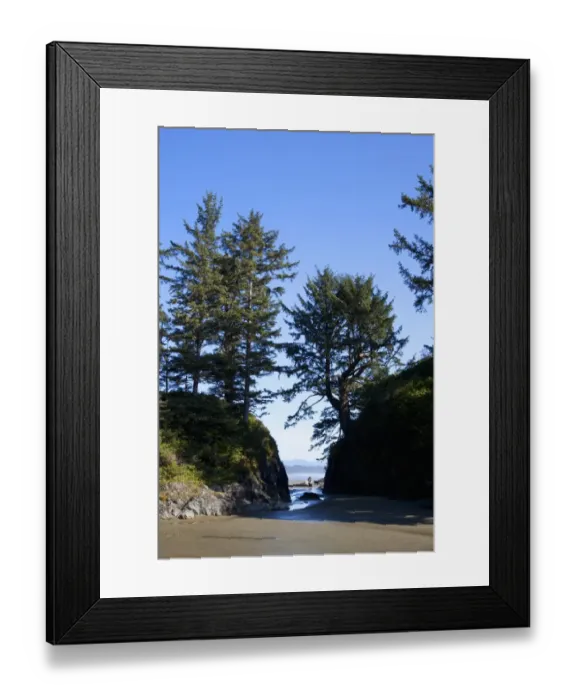 Framed Print : Scenery At Long Beach In Pacific Rim National Park Near Tofino; British Columbia Canada