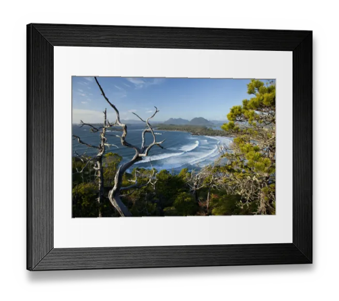 Framed Print : The View Of Cox Bay And Surrounding Mountains And Temperate Rainforest Near Tofino; British Columbia Canada