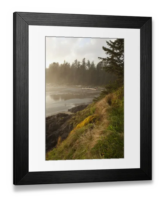Framed Print : Mist And Fog Form Over The Beach At Incinerator Rock Area Of Long Beach In Pacific Rim National Park Near Tofino; British Columbia Canada