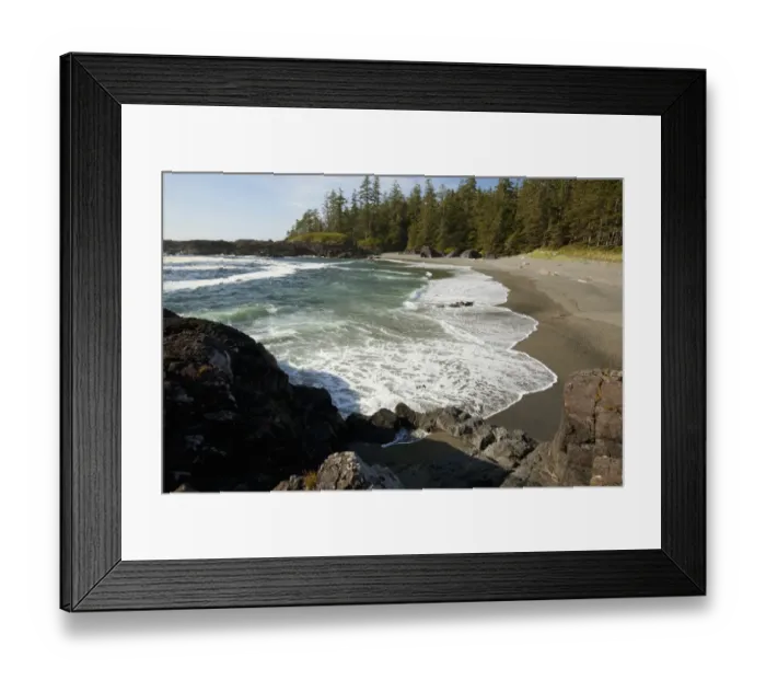Framed Print : South Beach In Pacific Rim National Park Near Tofino; British Columbia Canada