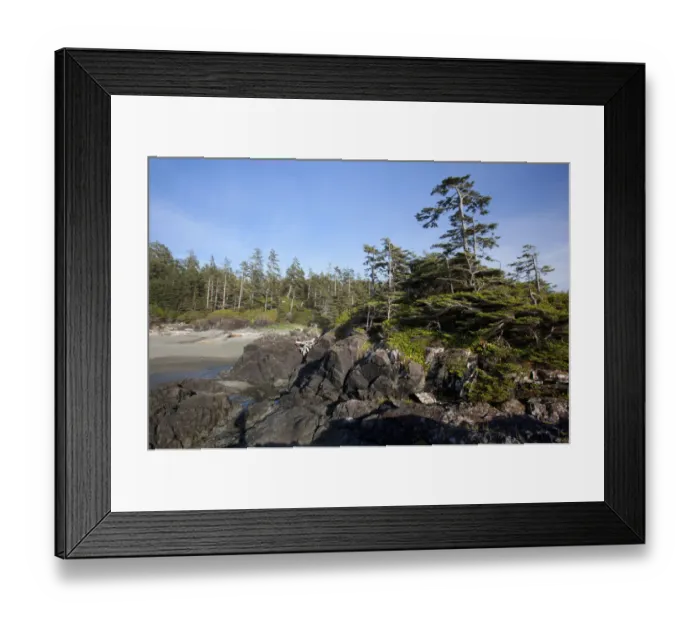 Framed Print : South Beach In Pacific Rim National Park Near Tofino; British Columbia Canada Framed Print : South Beach In Pacific Rim National Park Near Tofino; British Columbia Canada