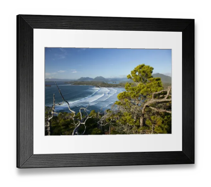 Framed Print : The View Of Cox Bay And Surrounding Mountains And Temperate Rainforest Near Tofino; British Columbia Canada Framed Print : The View Of Cox Bay And Surrounding Mountains And Temperate Rainforest Near Tofino; British Columbia Canada