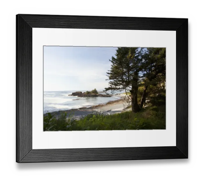 Framed Print : The Coastline Along The Path To South Beach In Pacific Rim National Park Near Tofino; British Columbia Canada
