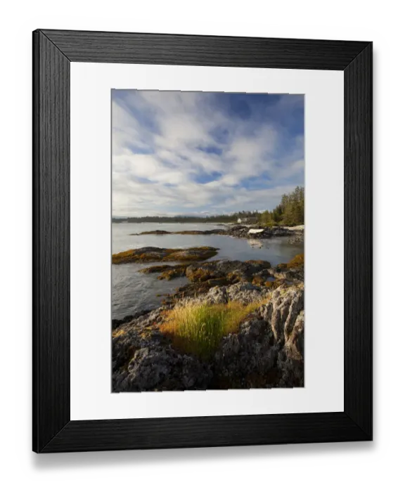 Framed Print : The Coastline Between Wickaninnish Beach And South Beach In Pacific Rim National Park Near Tofino; British Columbia Canada Framed Print : The Coastline Between Wickaninnish Beach And South Beach In Pacific Rim National Park Near Tofino; British Columbia Canada