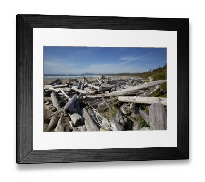 Framed Print : Piles Of Driftwood And Logs At Wickaninnish Beach In Pacific Rim National Park Near Tofino; British Columbia Canada Framed Print : Piles Of Driftwood And Logs At Wickaninnish Beach In Pacific Rim National Park Near Tofino; British Columbia Canada