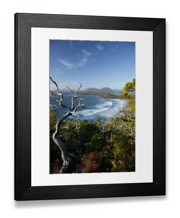 Framed Print : The View Of Cox Bay And Surrounding Mountains And Temperate Rainforest Near Tofino; British Columbia Canada