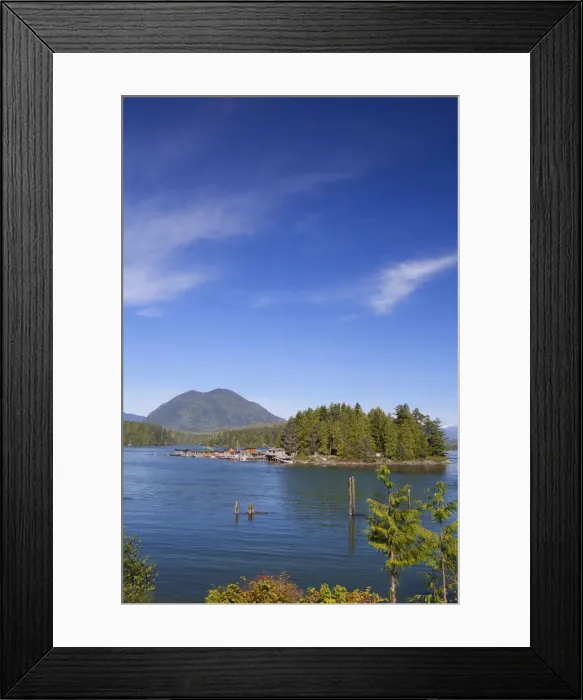 Framed Print : Boats In The Harbour; Tofino British Columbia Canada Framed Print : Boats In The Harbour; Tofino British Columbia Canada