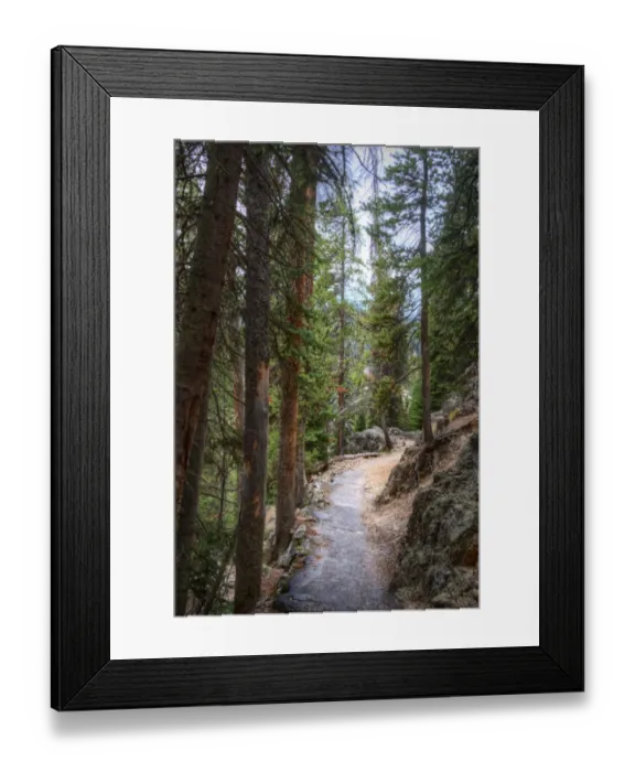 Framed Print : Trail, Yellowstone National Park Framed Print : Trail, Yellowstone National Park