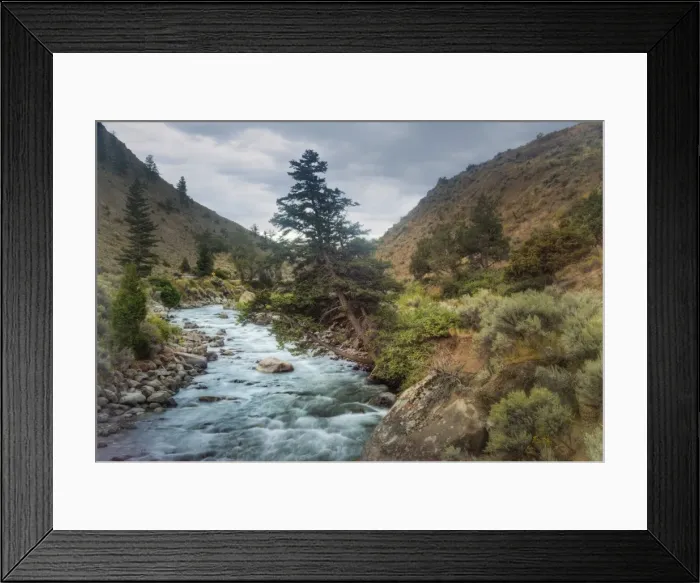 Framed Print : Mountain Stream, Yellowstone Park Framed Print : Mountain Stream, Yellowstone Park