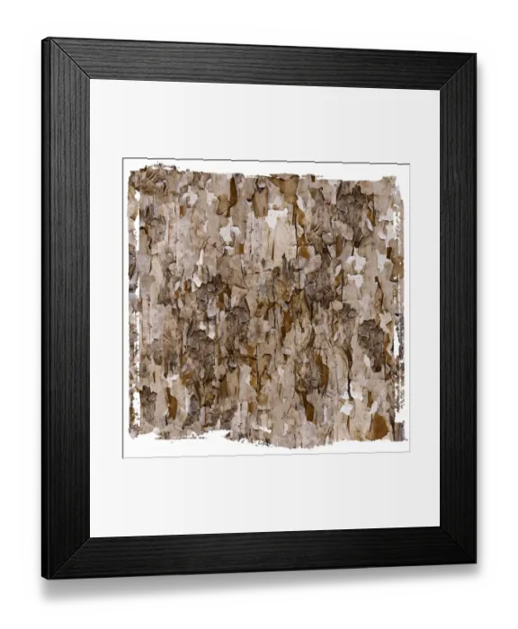 Framed Print : Abstract Pattern of Peeling Lead Paint
