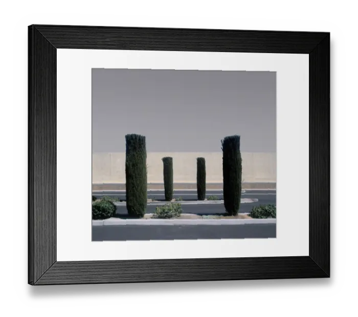 Framed Print : Precisely trimmed trees in garden Framed Print : Precisely trimmed trees in garden