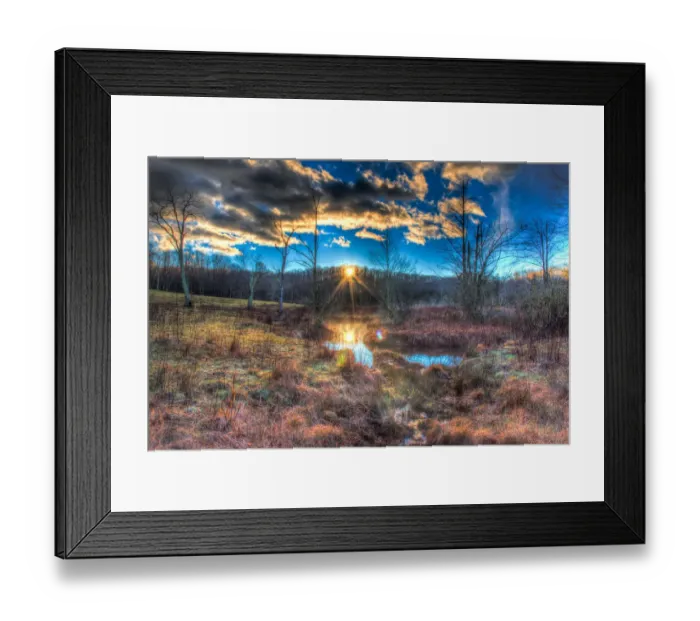 Framed Print : Reflections of gold Framed Print : Reflections of gold