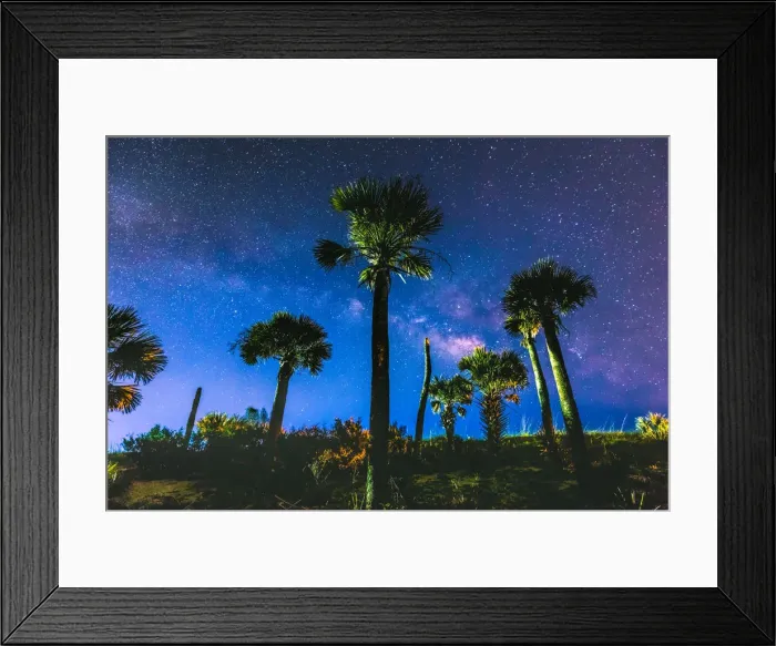 Framed Print : Stonehenge Palms Framed Print : Stonehenge Palms