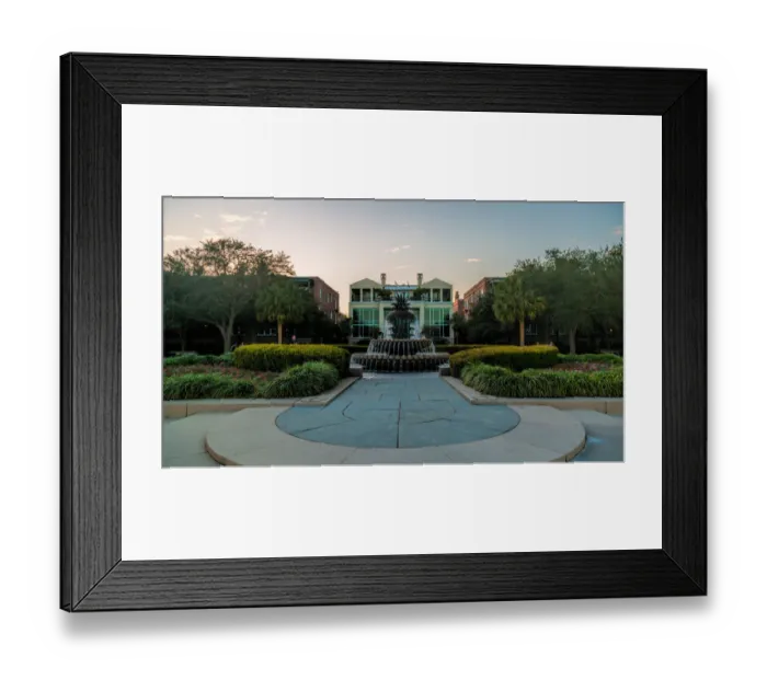 Framed Print : Charleston Pineapple Framed Print : Charleston Pineapple