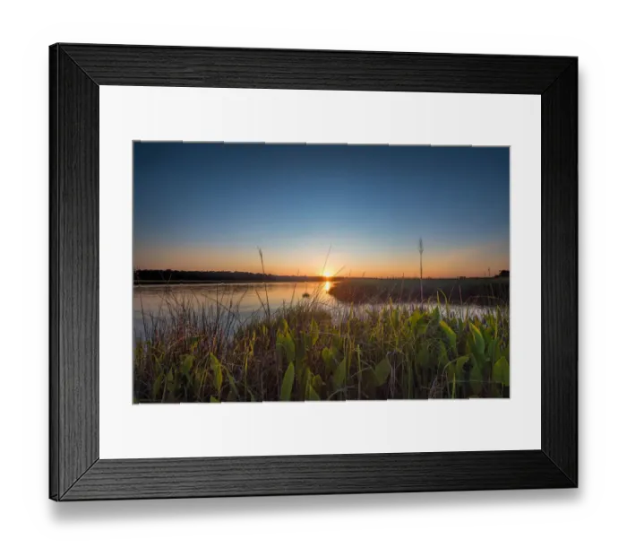 Framed Print : Ashley River Framed Print : Ashley River