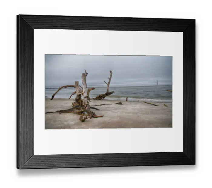 Framed Print : Boneyard Light Framed Print : Boneyard Light