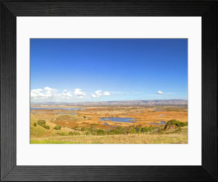 Framed Print : Coyote Hill