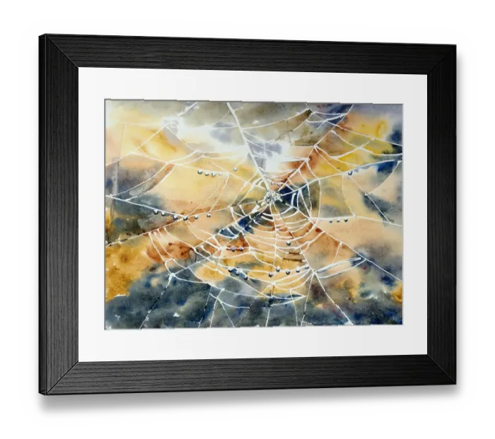 Framed Print : Cobweb spiderweb
