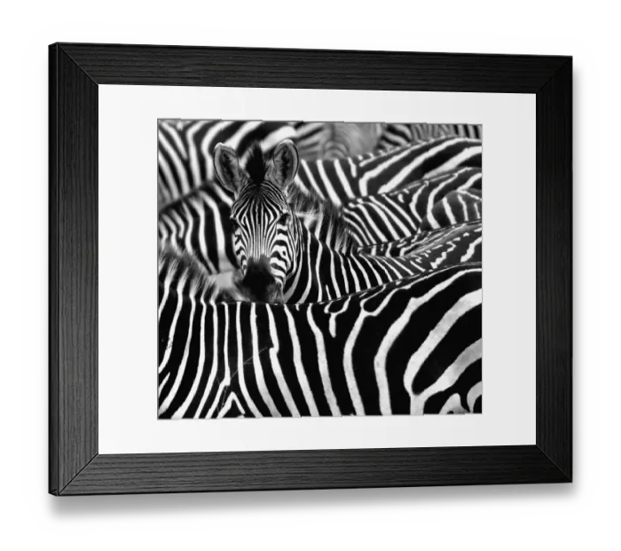 Framed Print : Looking out from the crowd Framed Print : Looking out from the crowd