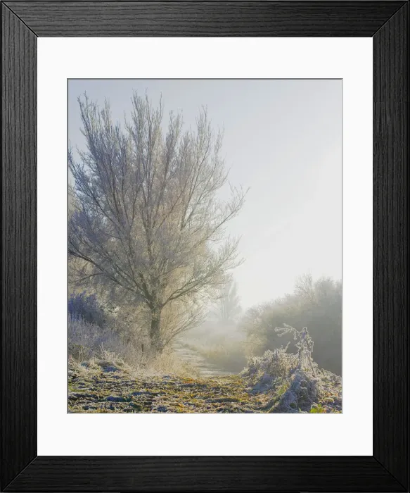 Framed Print : Cold and misty winterday Framed Print : Cold and misty winterday