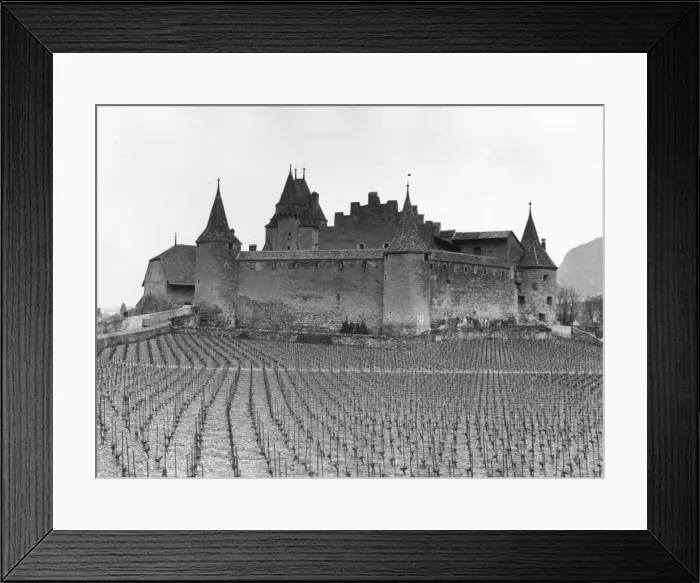 Framed Print : Rhone Valley Castle Framed Print : Rhone Valley Castle