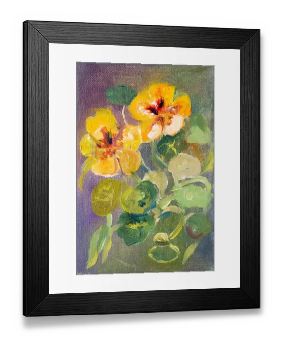 Framed Print : Nasturtium flowers oil painting Framed Print : Nasturtium flowers oil painting