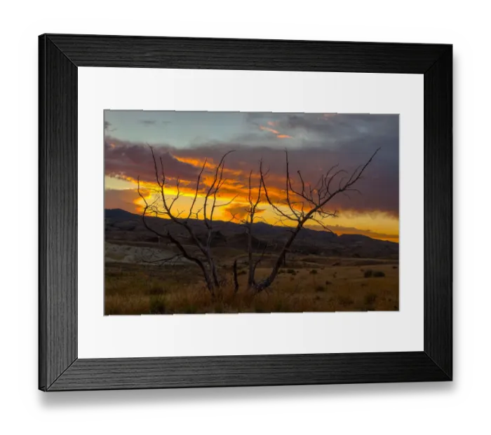 Framed Print : Sunset at Painted Hills with Petrified Tree Framed Print : Sunset at Painted Hills with Petrified Tree