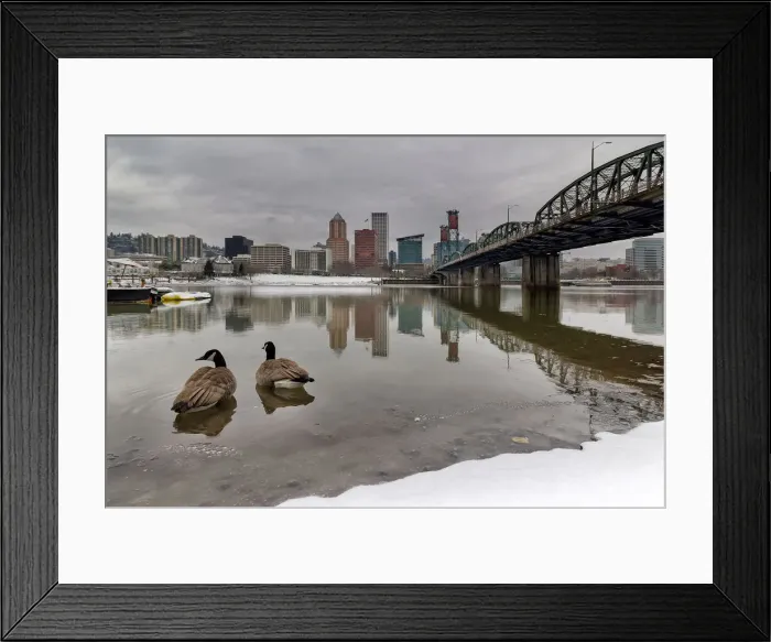 Framed Print : Snow along banks of Willamette River Framed Print : Snow along banks of Willamette River