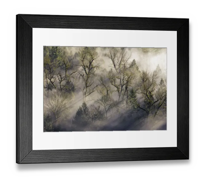 Framed Print : Sun rays through the morning mist Framed Print : Sun rays through the morning mist